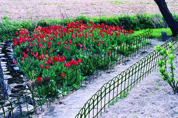 Bordure grillagée verte pour jardinet 25x0.25m - large