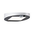 PAULMANN - Applique solaire Ryse IP44 avec détecteur de mouvement Blanc - vignette