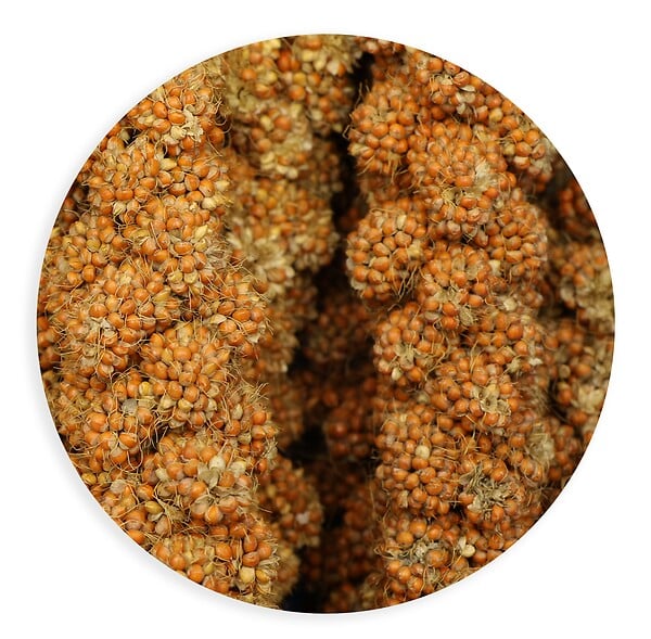 TYROL - Millet grappes 1kg tyrol - large