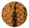 TYROL - Millet grappes 1kg tyrol - vignette