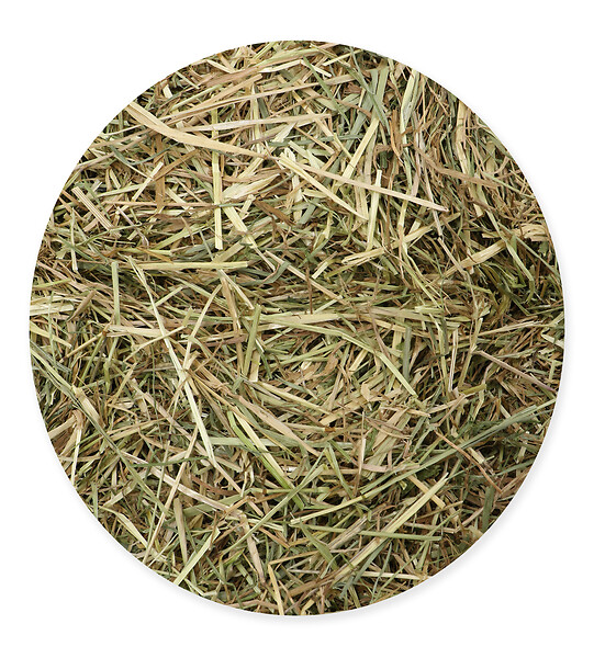 TYROL - Foin bio semi-compresse rong. 1kg tyrol fr-bio-01 - large