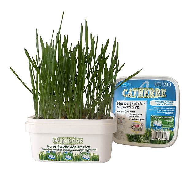 MUZO - Catherbe depuratif 220g - large