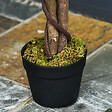 OUTSUNNY - Arbre artificiel plante artificiel ficus hauteur 1,2 m tronc branches liane lichen feuilles grand réalisme pot inclus - vignette