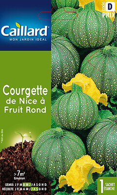 CAILLARD - Courgette de Nice à fruit rond - large