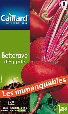 CAILLARD - Betterave d'Egypte - large