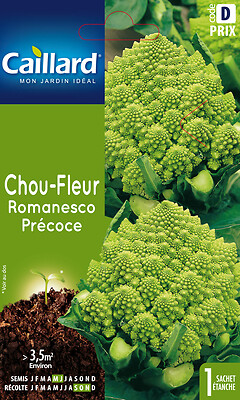 CAILLARD - Chou-Fleur Romanesco précoce - large