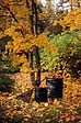 FISKARS - Sac a vegetaux solid 172l - vignette