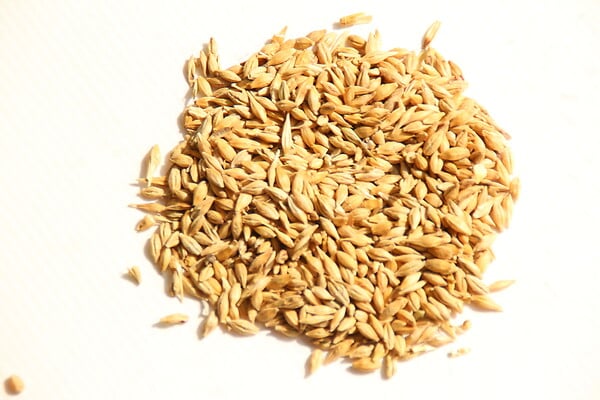 LABELFERMETTE - Orge 8 kg - large