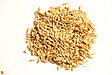 LABELFERMETTE - Orge 8 kg - vignette