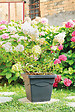 DEROMA - Quadro Day R Anthracite 45cm - vignette