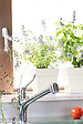 DEROMA - Quadro Save R Bianco à réserve d'eau 17cm - vignette