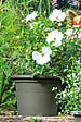 DEROMA - Cilindro Day R Verde 35cm - vignette