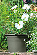 DEROMA - Cilindro Day R Verde 30cm - vignette