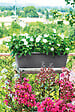 DEROMA - Jardinière Day R Anthracite 40cm - vignette