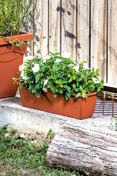 DEROMA - Jardinière Day R Cotto 40cm - large