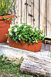 DEROMA - Jardinière Day R Cotto 40cm - vignette