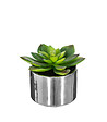 ATMOSPHERA - Plante verte artificielle Pot en céramique H 15 cm - vignette