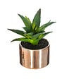 ATMOSPHERA - Plante verte artificielle Pot en céramique H 15 cm - vignette