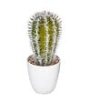 ATMOSPHERA - Plante artificielle Cactus en pot H 18 cm - vignette