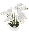 ATMOSPHERA - Plante artificielle Orchidée dans Pot en céramique blanche H 62 cm - vignette