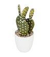 ATMOSPHERA - Plante artificielle Cactus en pot H 18 cm - vignette
