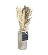 ATMOSPHERA - Composition de Fleurs Séchées Vase en Verre H 28 cm - vignette