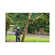 RYOBI - Pack RYOBI Elagueur à  chaine sur perche 18V One+ OPP1820 - 1 Batterie 2.5Ah - 1 Chargeur rapide RC18120-125 - vignette