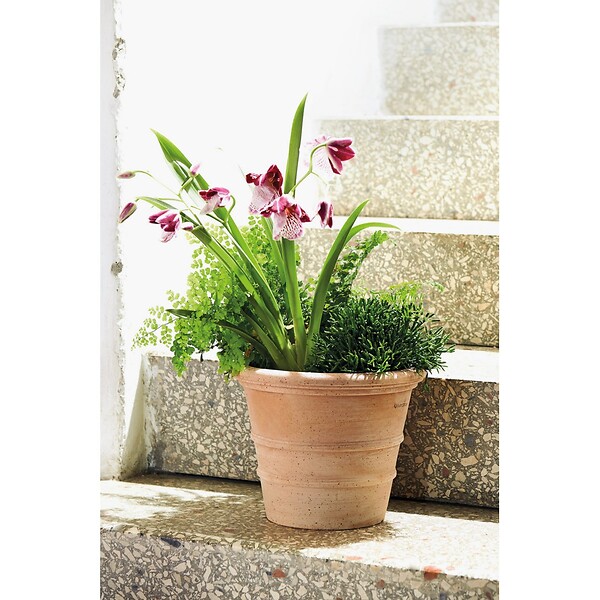 DEROMA - Vaso Siena Toscana 23cm - large