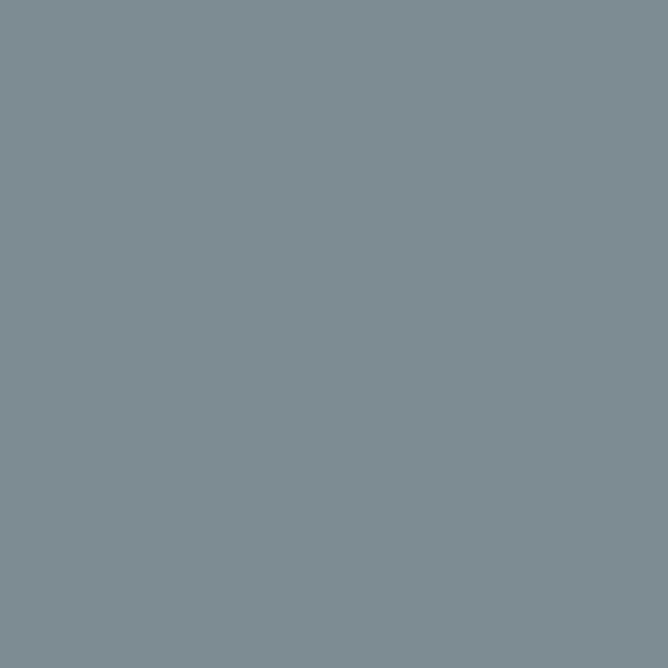 DULUX VALENTINE - Testeur Dulux Valentine Color Resist Mur et Boiserie Bleu Gris 0,03L - large