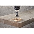 WOLFCRAFT - 1 Fraise à bois d'encast L53 D30mm - vignette