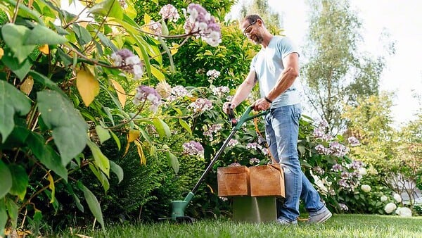 BOSCH - Coupe-bordures EasyGrassCut 23 - large