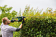BOSCH - Taille-haies AdvancedHedgeCut 65 - vignette