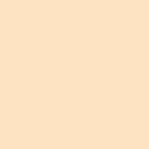 DULUX VALENTINE - Testeur de peinture - Coquille d'Oeuf - Satin - 30ml - large