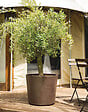 DEROMA - vaso millennium brownstone à réserve d'eau et roulettes 59 cm - vignette
