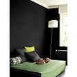 DULUX VALENTINE - Peinture Crème de Couleur - Noir - Mat - 0,5L - vignette