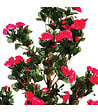 ATMOSPHERA - Plante artificielle Azalée en pot H 78 cm - vignette