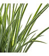 ATMOSPHERA - Plante artificielle Herbe dans un Pot tressé en jacinthe d'eau beige naturel H 48 cm - vignette