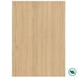 FORESTEA - Lot de 3 contremarches rénovation d'escalier stratifié florida 1300 x 200 x 8 mm - PEFC 70% - vignette