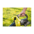 RYOBI - Pack RYOBI Souffleur aspiro-broyeur 18V One+ Brushless OBV18 - 1 batterie 5.0Ah - 1 chargeur rapide 2.0Ah RC18120-150 - vignette