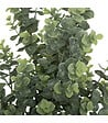 ATMOSPHERA - Bouquet d'Eucalyptus artificiels H 64 cm - vignette
