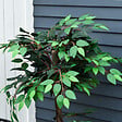 OUTSUNNY - Arbre artificiel plante artificiel ficus hauteur 1,2 m tronc branches liane lichen feuilles grand réalisme pot inclus - vignette