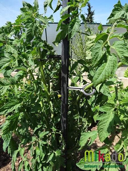 MIKADO - Tuteur 180cm anthracite + 4 attaches - large