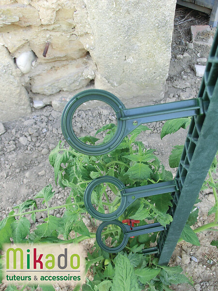 MIKADO - Tuteur 180cm vert + 4 attaches - large