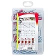 FISCHER - Cheville tous matériaux DuoPower + crochets - 70 pièces - vignette