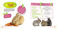 GRENOUILLE - Mon lapin - vignette