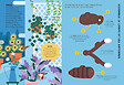 GRENOUILLE - Construis un papillon - vignette