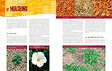 ARTEMIS - Jardinier Bio - vignette