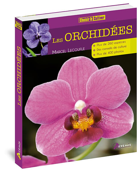 ARTEMIS - Orchidées - large