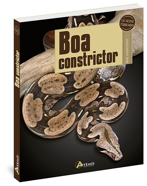 ARTEMIS - Le Boa Constrictor - large