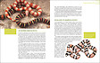 ARTEMIS - Serpent-Roi et Faux-Corail - vignette